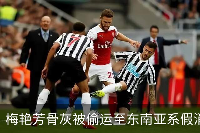 梅艳芳骨灰被偷运至东南亚系假消息，香港导演道歉：被AI视频误导，将发澄清视频