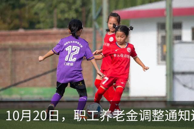 10月20日，职工养老金调整通知还未公布，低收入群体会单独调整吗